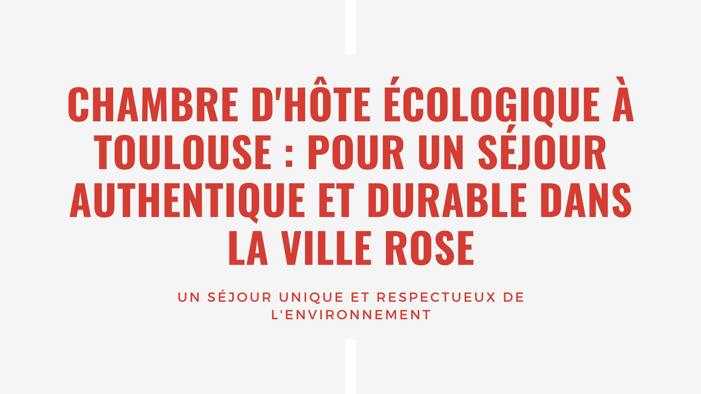 Chambre d'hôte écologique à Toulouse : Pour un séjour authentique et durable dans la ville rose